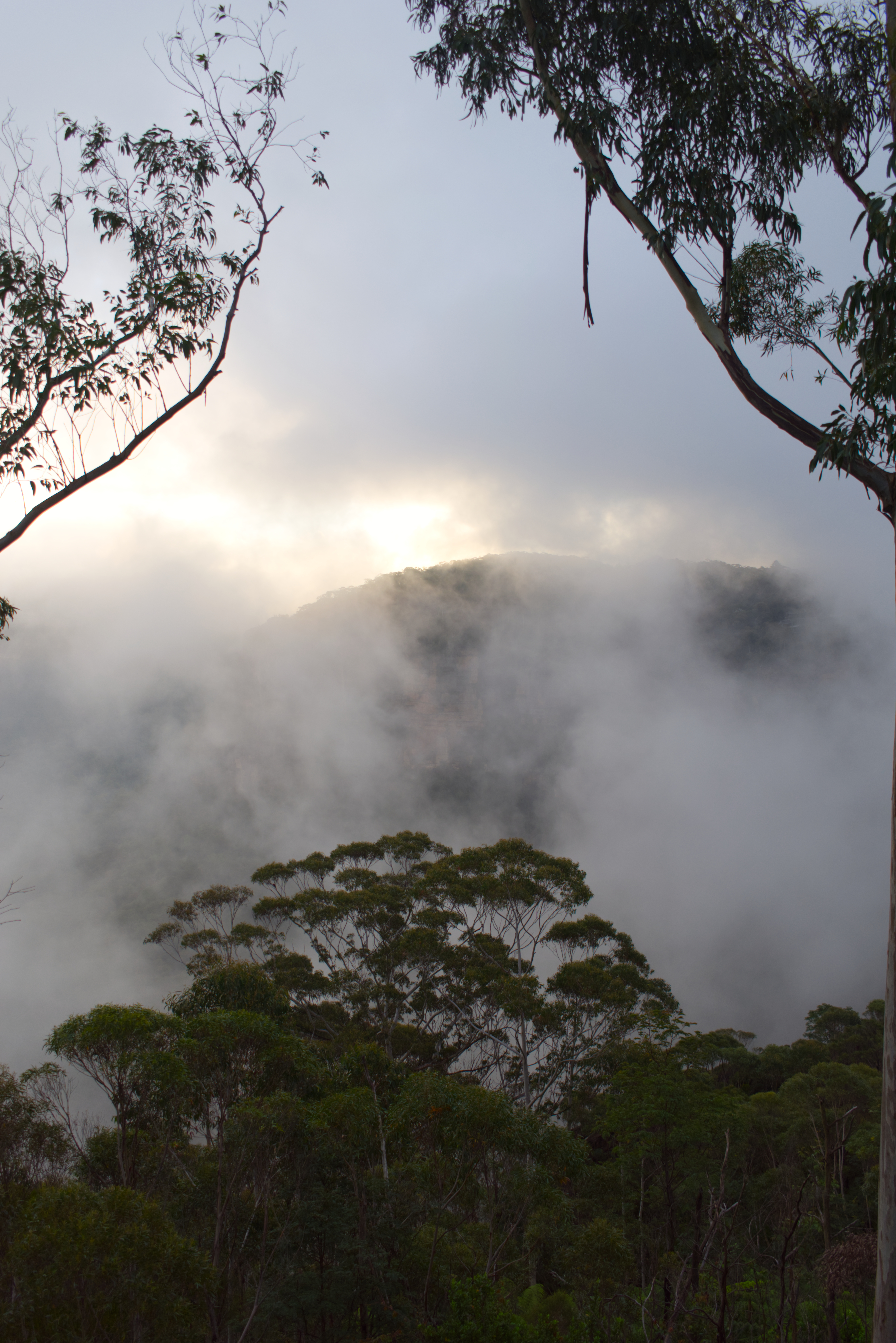 Cloud shroud mountain
