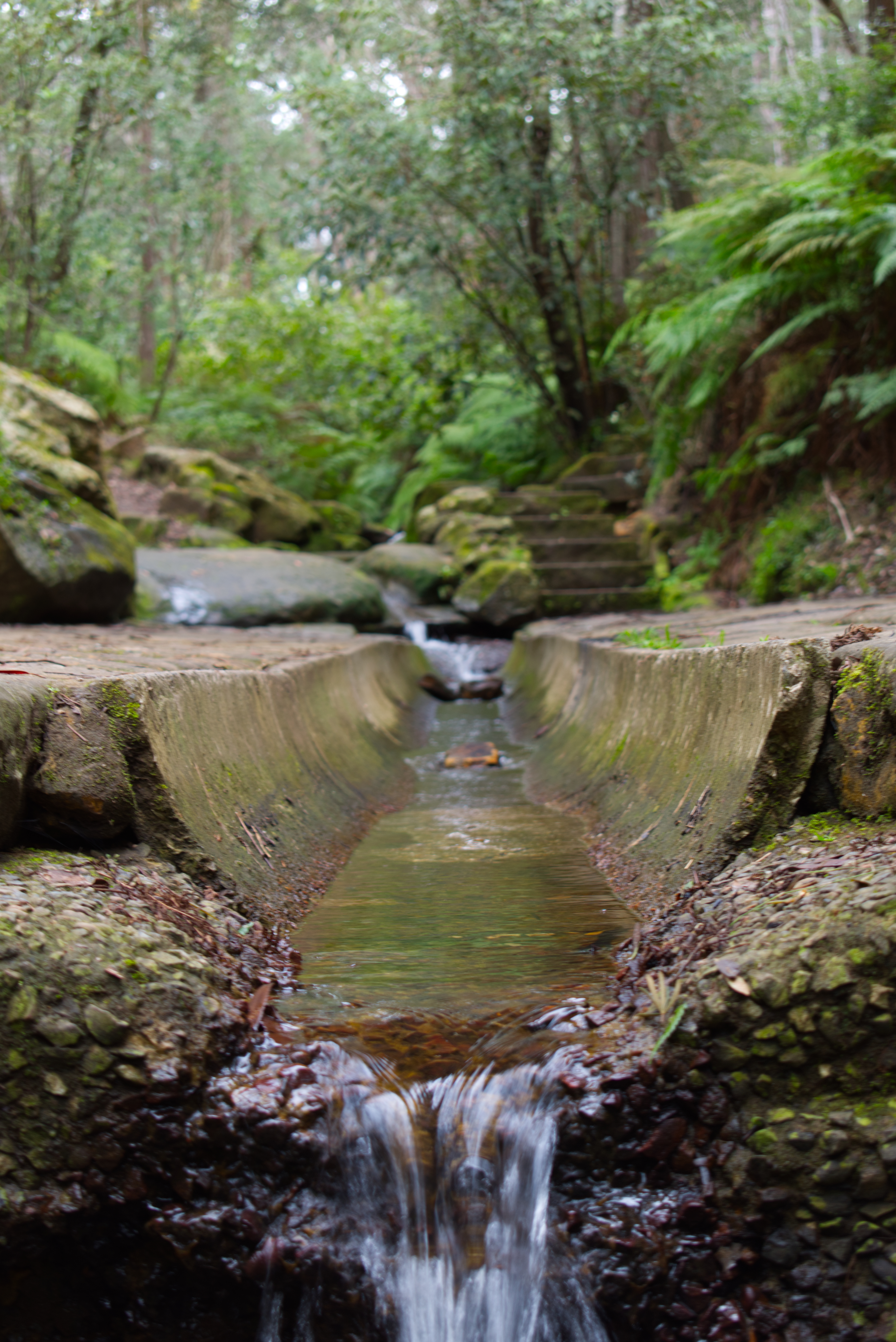 a bridge for a creek