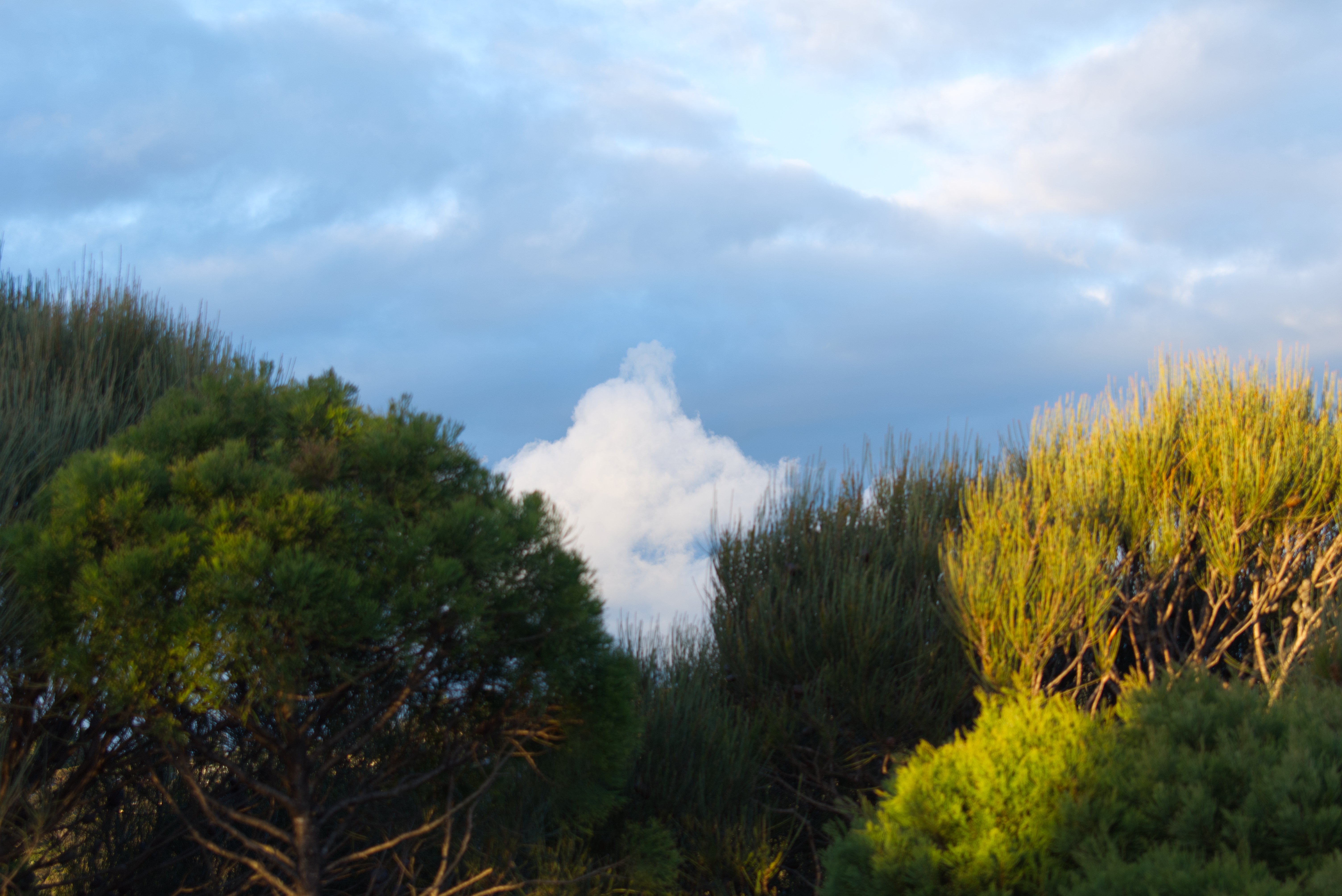A pointy cloud